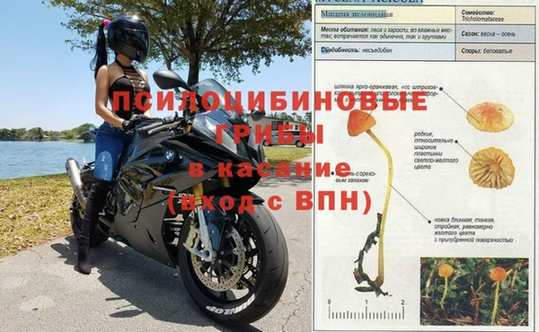 мяу мяу мука Киреевск