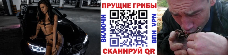 Галлюциногенные грибы GOLDEN TEACHER даркнет сайт Краснозаводск